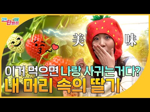 경북대신 GIRL 2ㅣ아이엠그라운드 딸기게임 시작~♬ 고령에서 시작 된 대신걸과의 딸기 (체험) 게임!