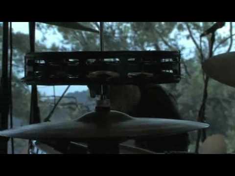 Mike sNow - AniMal (Live)