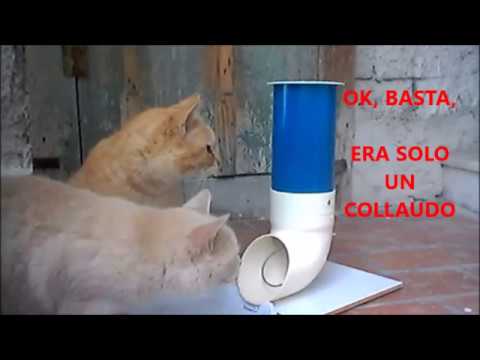 Distributore croccantini fai da te. Tutorial