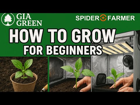 Fantastisches Tutorial zur Erdmischung! HP Promix + Gaia Green, unterstützt vom SpiderFarmer G4500!