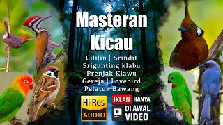 Download lagu 10 jam masteran BESETAN MEWAH untuk Murai Batu! Jeda lagu 2 menit, audio TERJERNIH! Materi terbaik! mp3 Download lagu 10 jam masteran BESETAN MEWAH untuk Murai Batu! Jeda lagu 2 menit, audio TERJERNIH! Materi terbaik! mp3