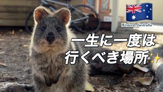 一生に一度は行きたい！世界一幸せな島✨ Rottnest Island