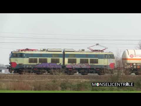 E656.607 Salvate il caimano!