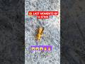🐝YELLOW ORIENTAL PAPER WASP: The Last Moments of a Sting! | TAMBORRI KA DANG | The Painful Sting