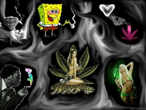 Illegalanimal - Prafuria