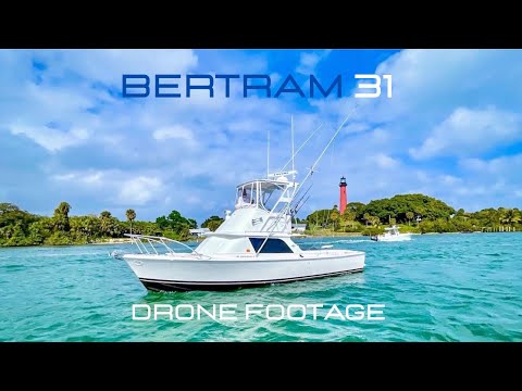 Bertram 31 video