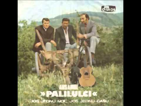 Ansambl Palilulci - Jos jednu noć,jos jednu čašu