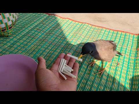 หวย