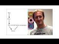 Cell Competition And Cell Oscillations