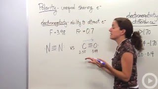 Polarity(HD)