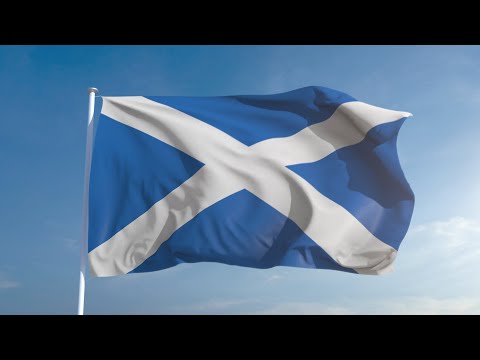 Steg G & the Freestyle Master -  A Declaration  (700 years and counting...)