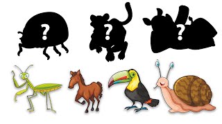 Learn zoo animals names and sounds at the zoo by solving these interesting puzzles