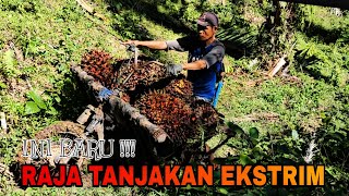 Download lagu MOTOR OJEK SAWIT 🛑 Ini Baru Rajanya Motor Ojek Di Tanjakan Ekstrim mp3