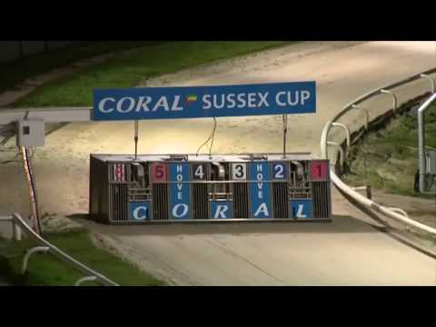 Galloping Moon - Coral Brighton Belle 2019