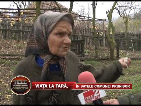 TELE OBIECTIV ANCHETĂ CERVENIȚA - PRUNIȘOR