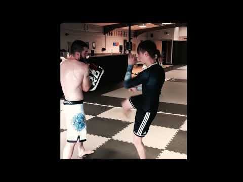 Kicking pads Muay Thai
