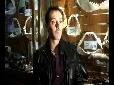 download lagu mp3 mp4 Alessandro De Maddalena, download lagu Alessandro De Maddalena gratis, unduh video klip Alessandro De Maddalena
