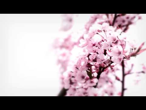 Chillout - Monitor 66 - Follow You