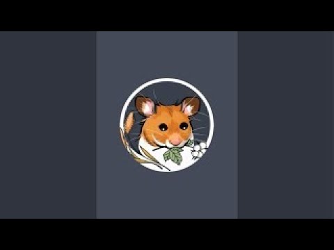 庭のカレンダー: いつ庭で何をしますか?