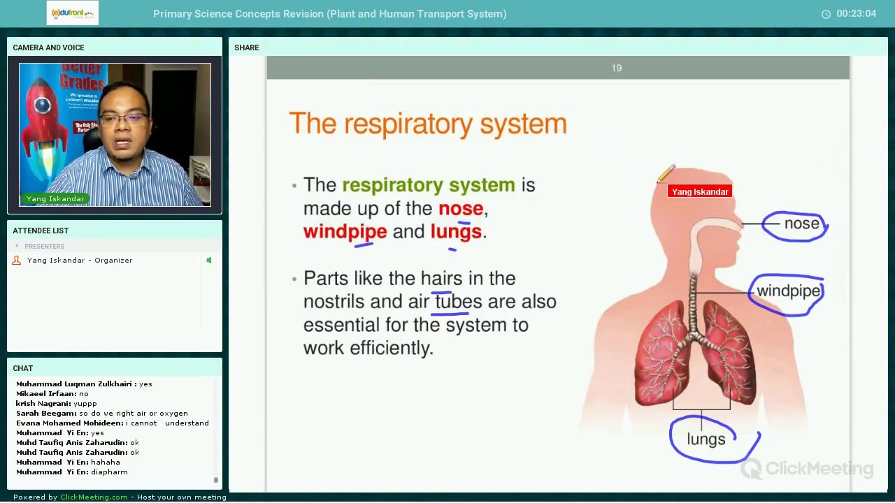 Primary Science Concepts - Air and Respiratory System