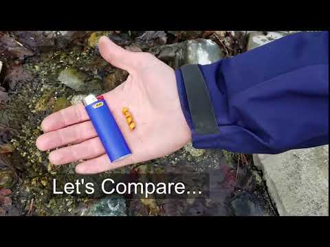 FireAnt - the ultra reliable and compact EDC fire starter. How does it compare with a BIC lighter?