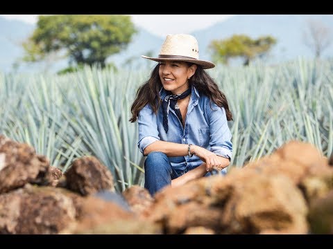 Bertha González Nieves featured on the Today Show as "tequila's rising star"