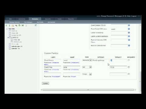 mxCalendar An Introduction to Custom Fields