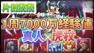 1周7000万経験値！片側茂茂&真人×虎杖で裏修羅をぶっ壊す！！！【裏・修羅の幻界】【ランク上げ】【パズドラ】