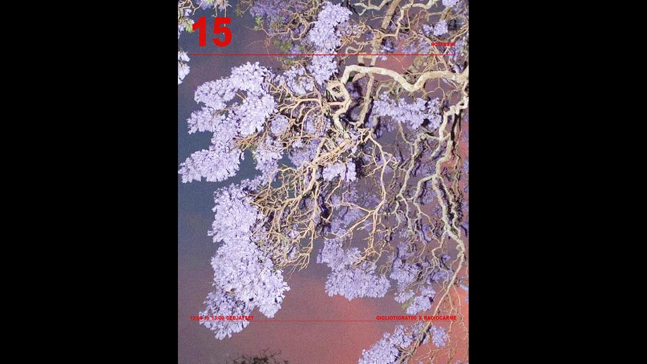 GIGLIOTIGRAT00 X RADIOCARME