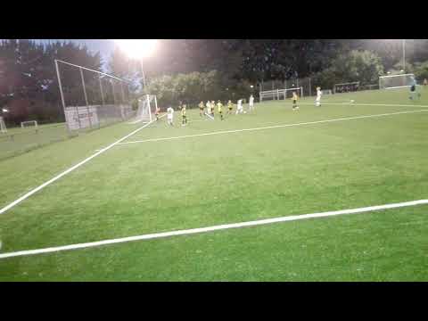 Actie Nico tegen TOGB