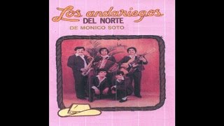 Los Andariegos del Norte - El Picudo