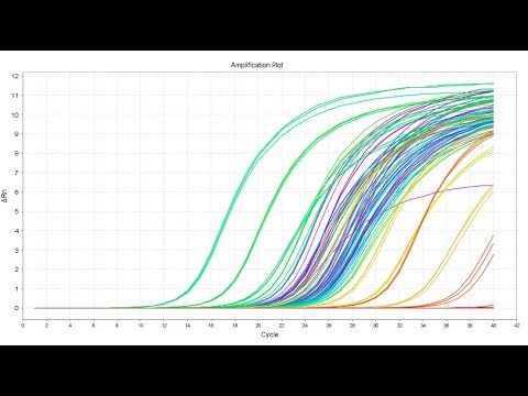 Pipetting a qPCR on a Biomek FXP Liquid Handling Workstation