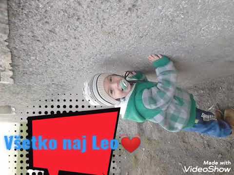 Mix piesni pre lea k narodeninám