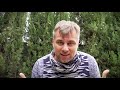 Испания наизнанку ютуб сегодня
