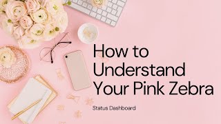 How to Understand Your Pink Zebra Status Dashboard #training #workfromhome #business