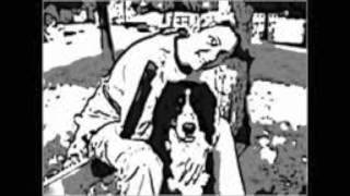 COME LAVARE CANE E GATTO