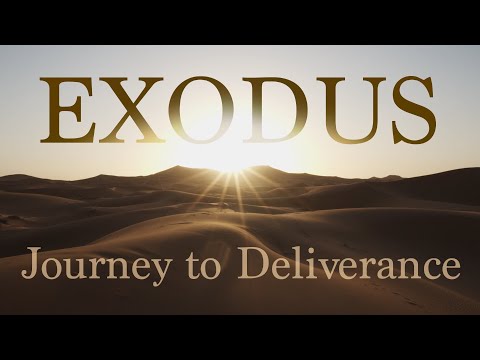 Exodus 10:1-29 | All Encompassing