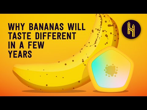 Why Bananas Will Taste Different in a Few Years