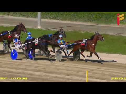 II Corsa del 22 ottobre 2022 - 4 Anni - Metri 1600