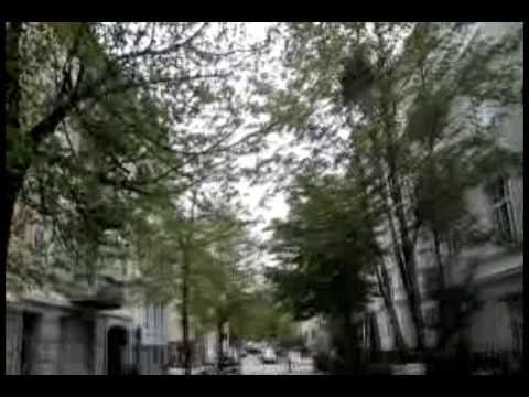 Bergen intercambio 2011