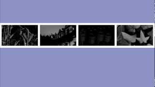 Hopesfall - A Winter's Rose