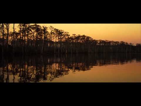 2013 Variety Screening Series New York - 12 Years a Slave