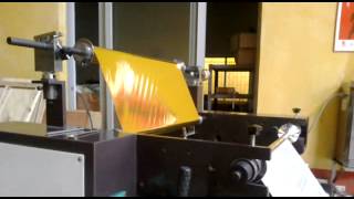 preview picture of video 'Gold foil stamping machine'