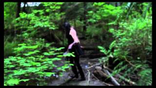 Skies Will Fall - The Way Back Home