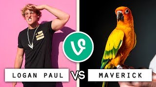 LOGAN PAUL vs MAVERICK Vine & Snapchat Battle / Who's the Best