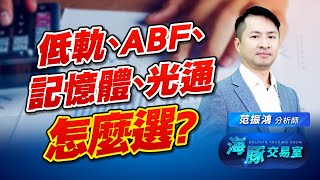 跟著海豚一起做多! 低軌衛星、ABF、記憶體、光通訊怎麼選? 可以抱什麼股過年? (圖)