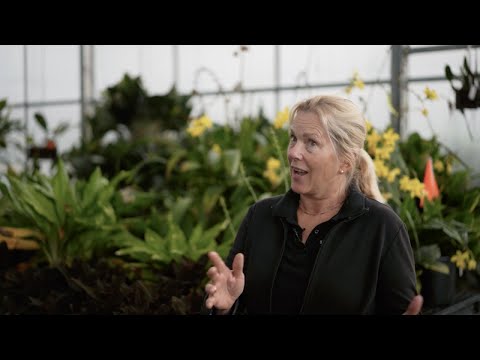 Tour of First Lady orchid collection, with horticulturist Melanie Pyle
