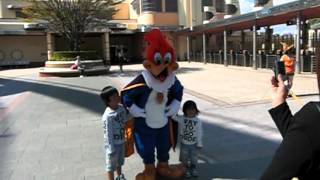 Download lagu Woody Woodpecker Universal Studios Japan Osaka ユニバーサル・スタジオ・ジャパン mp3