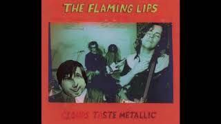 The Flaming Lips - Psychiatric Explorations of the Fetus With Needles (instrumental cover)
