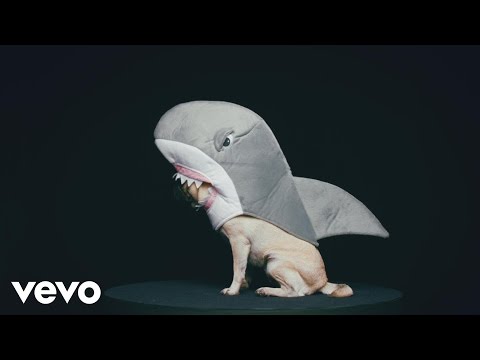 WE ARE MATCH - The Shark (Clip officiel)